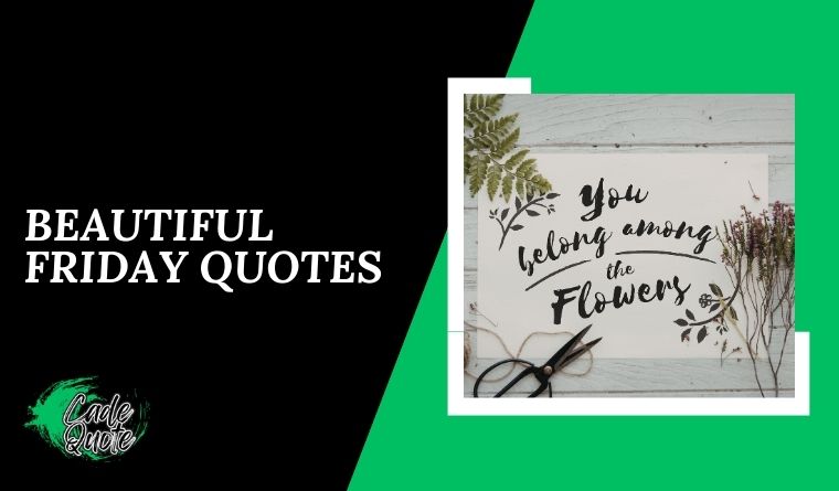  Beautiful Friday Quotes