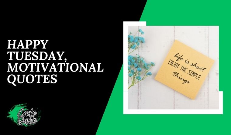 Happy Tuesday, Motivational Quotes