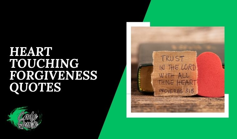 Heart Touching Forgiveness Quotes