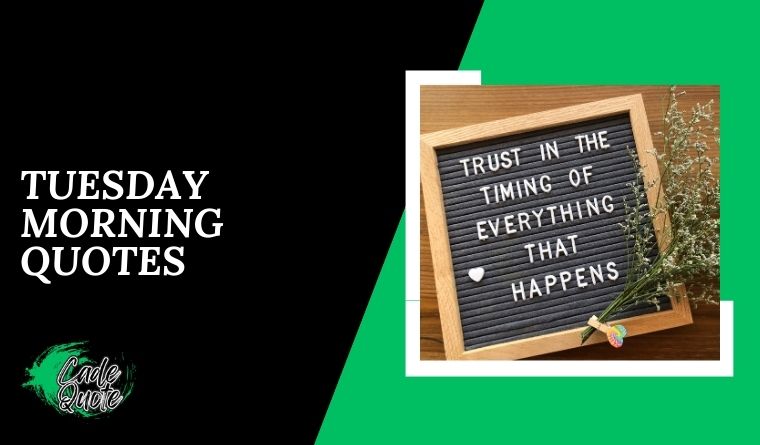 Tuesday Morning Quotes
