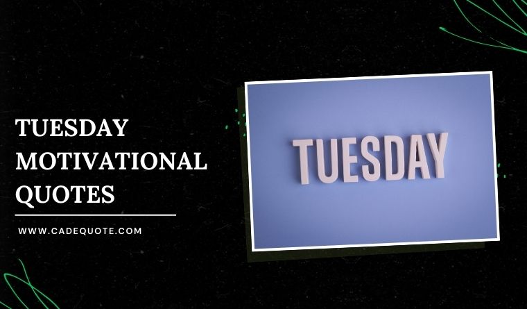 Tuesday Motivational Quotes