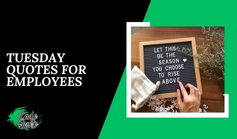 Tuesday Quotes for Employees