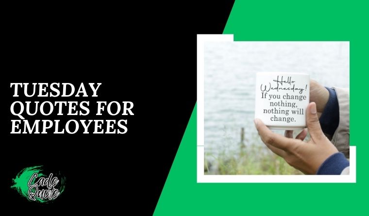 Wednesday Quotes for Employees