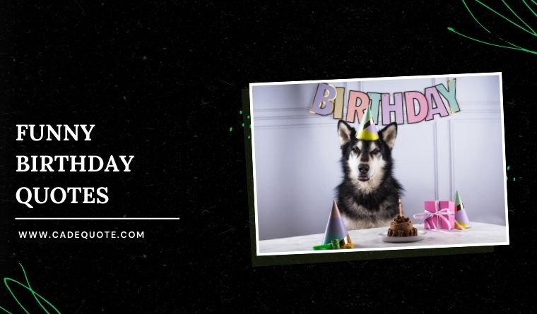 180 Funny Birthday Quotes to Make Anyone Laugh Out Loud