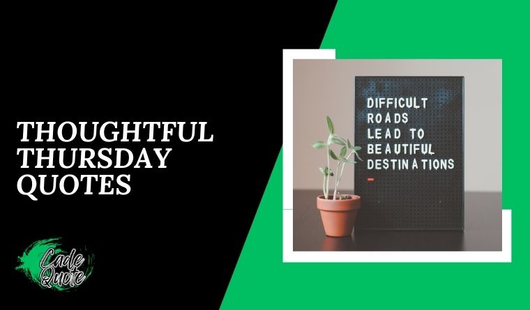 Thoughtful Thursday Quotes