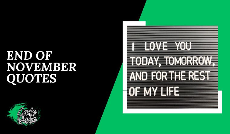 End Of November Quotes