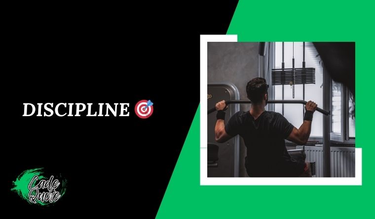 Discipline 🎯