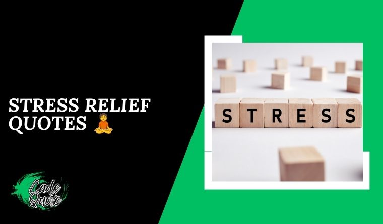 Stress Relief Quotes 🧘