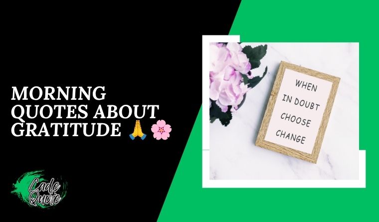 Morning Quotes About Gratitude 🙏🌸