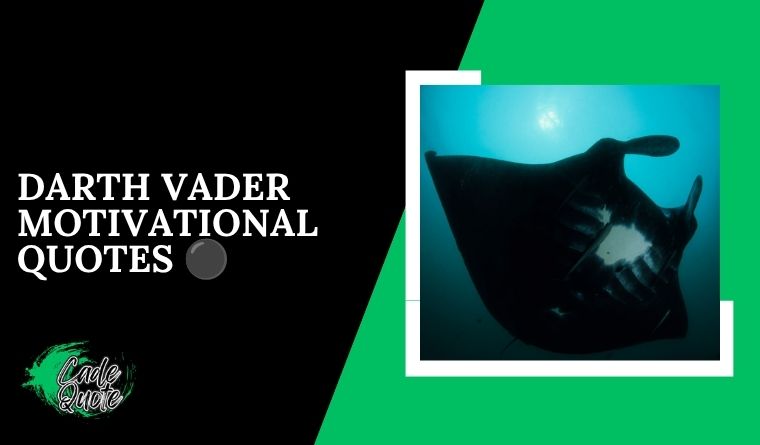 Darth Vader Motivational Quotes ⚫