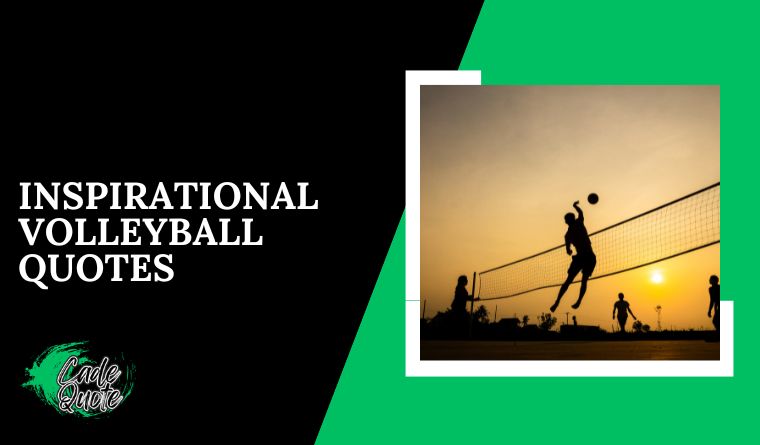 Inspirational Volleyball Quotes