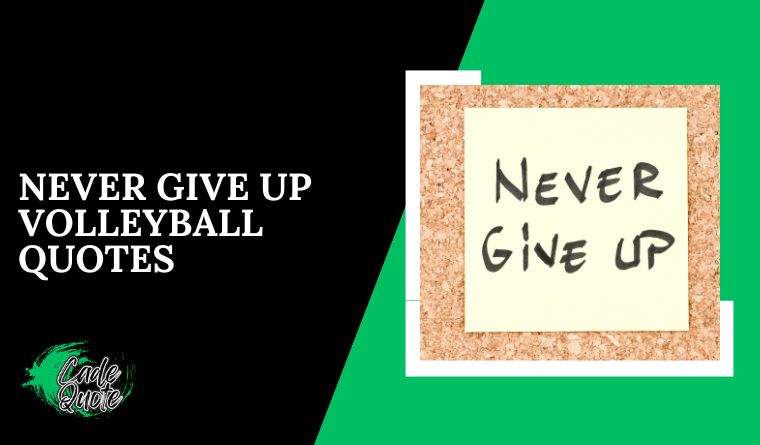 Never Give Up Volleyball Quotes
