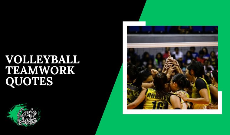 Volleyball Teamwork Quotes